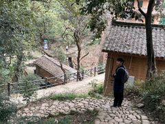 -杨家堂村