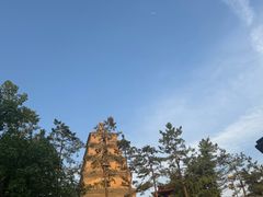 -大慈恩寺(大雁塔)