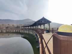 -石塘人家