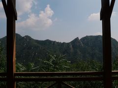 -大岭沟猕猴桃谷风景区