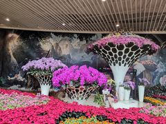 -花之城