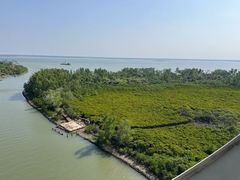 -东寨港红树林旅游区