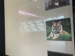 -深圳市当代艺术与城市规划馆
