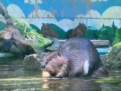 -广州长隆野生动物世界
