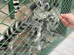 -水上乐园·欢乐世界