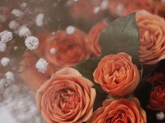 -循礼门鲜花花市(武汉循礼门店)