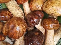 -阿鹏故事野生菌火锅(双廊古镇店)