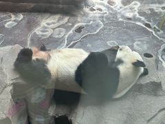 -济南野生动物世界