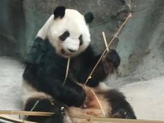 -鄂尔多斯野生动物园