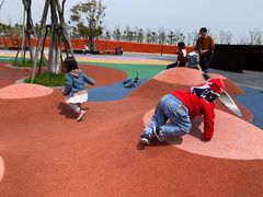 -春花秋色城市公园