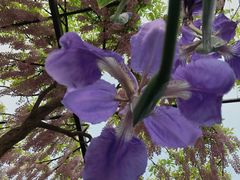 -青州市云门山风景区