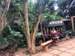 -海南热带野生动植物园