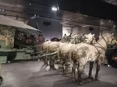 -秦始皇帝陵博物院-丽山园