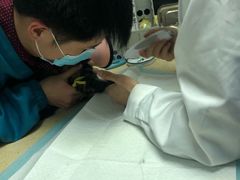 -安安宠医·安宠宠物医院