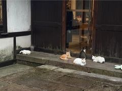 -法云安缦酒店