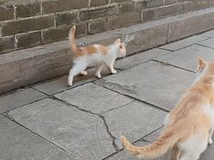 -四门塔风景区