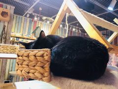 -小时光咖啡馆(开森度假森林店)