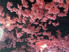 -九田家黑牛烤肉料理·自助(洪洞县城市花园店)