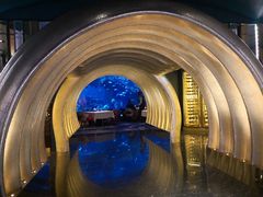 -迪拜帆船酒店海底餐厅