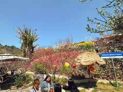 -桃源山庄·水蜜桃采摘·柴火鸡·烧烤团建(龙泉山店)