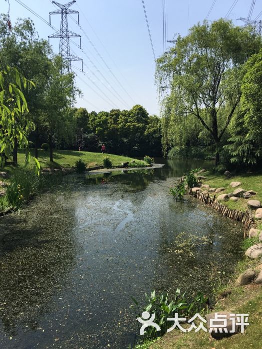高东公园图片 - 第4张