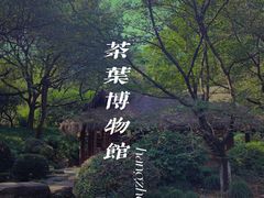 -中国茶叶博物馆(双峰馆区)