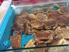 -大锅强·蒸海鲜青岛菜(城市阳台店)