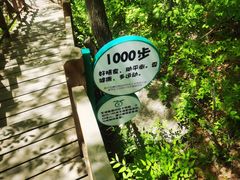 -大岭沟猕猴桃谷风景区