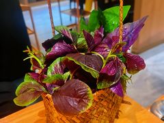 -一朵菌·野生菌探索家火锅(南亚店)
