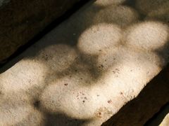 -宁波市保国寺古建筑博物馆