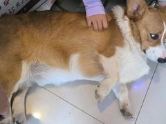 -平行世界·猫咖(首经贸店)