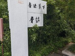 -鲁镇