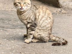 -终南山南五台景区