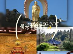 -庐山风景名胜区-东林大佛