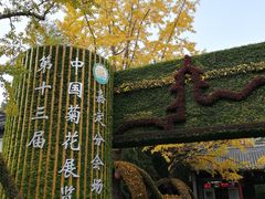 -汇龙潭