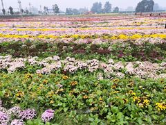 -中国天府农业博览园