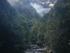 -花岩国家森林公园