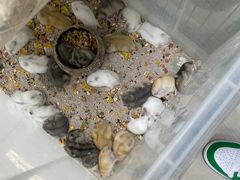 -三旗百汇商品城