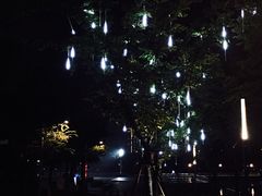 -映月湖中央公园