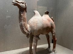 -敦煌市博物馆