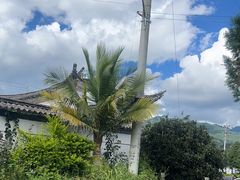 -边疆缘正宗腾冲风味菜馆(腾冲店)