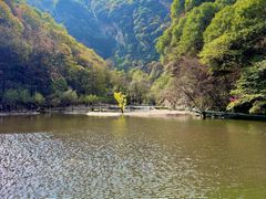 -少华山国家森林公园