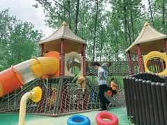 -合肥滨湖国家森林公园