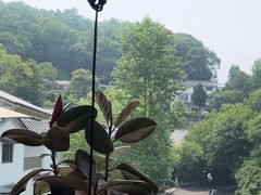 -简象咖啡CAFE ELE JANE(满陇桂雨店)