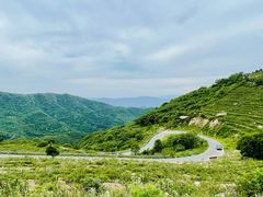 -阳台山自然风景区
