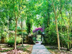 -中国科学院西双版纳热带植物园