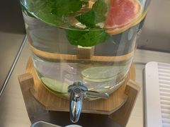 水果茶-WHEN PIGS FLY当猪飞