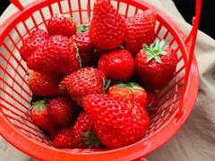 -红星农博物流中心