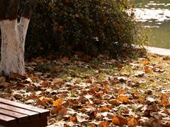 -西安市长乐公园