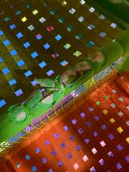 -宝燕乐园(闵行旗舰店)